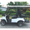 2+2 Golf Golf Cart（high Chassis）