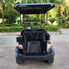 2-Seat Golf Cart（Low Chassis）