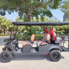 4+2 Seats Golf Cart（Low Chassis）