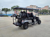 4+2 upgraded high golf cart Electric Golf Cars