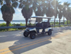 4+2 Seats Golf Cart（Low Chassis）