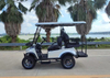 2+2 High style golf cart Electric Golf Cars