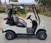 Upgraded 2-seater golf cart 