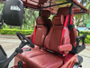 4+2 seater upgraded premium golf