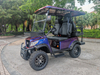 LenToEV 4-seater high-end golf electric car