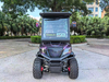 LenToEV. 2+2 version [4×4] All-wheel-drive Golf