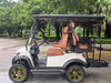 Our happiness is simple,LenToEV. 2+2 version [4×4] All-wheel-drive Golf, high configuration color starry sky roof, 6-channel speakers, rear ball bag rack