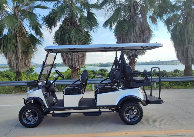 4+2 Seats Golf Cart（Low Chassis）