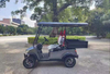 2 seater cargo hopper golf