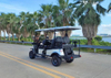 2+2 Seats Golf Cart（Low Chassis）