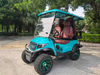  LenToEV 2+2 (two wheel drive/four-wheel drive optional)