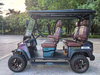 LenToEV. 2+2 version [4×4] All-wheel-drive Golf