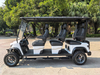 6 golf carts