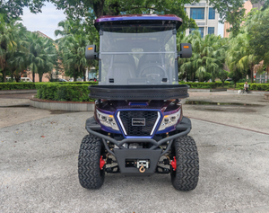 LenToEV 4-seater high-end golf electric car