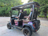 LenToEV. 2+2 version [4×4] All-wheel-drive Golf