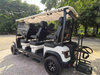 LenToEV 6-seater forward, the fourth generation upgraded iteration model, full mass production