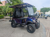 LenToEV 4-seater high-end golf electric car