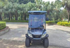 2 seater cargo hopper golf