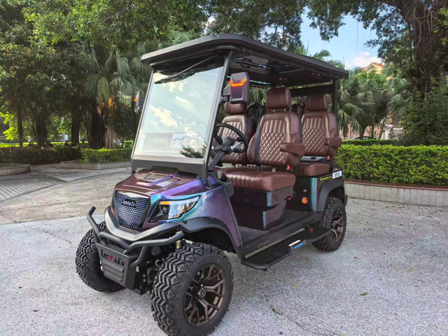 LenToEV. 2+2 version [4×4] All-wheel-drive Golf