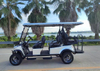 2+2 Seats Golf Cart（Low Chassis）