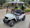 Upgraded 2-seater golf cart