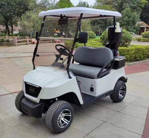 Upgraded 2-seater golf cart