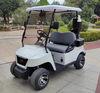 Upgraded 2-seater golf cart 