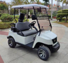 Upgraded 2-seater golf cart 