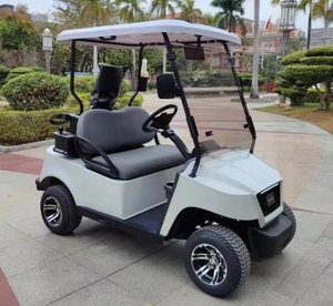 Upgraded 2-seater golf cart 