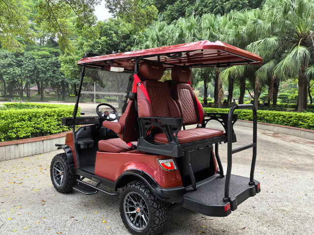 4+2 seater upgraded premium golf