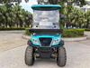 2 + 2 All-terrain Vehicles 2024, LenToEV's Third Generation Product: