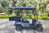 2 seater cargo hopper golf