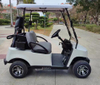 Upgraded 2-seater golf cart 