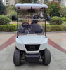 Upgraded 2-seater golf cart 