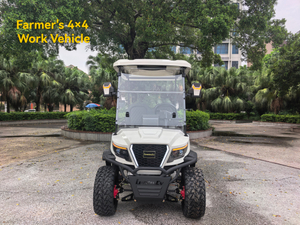 LenToEV Farmer's 4×4 Work Vehicle